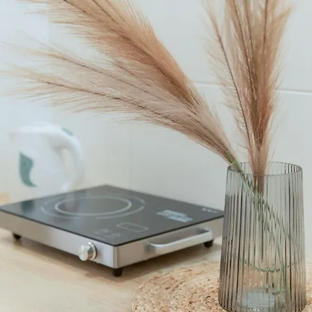 Mini Smart On Shpytalna 13- Economy *