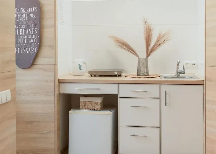 Apartament Mini Smart On Shpytalna 13- Economy *