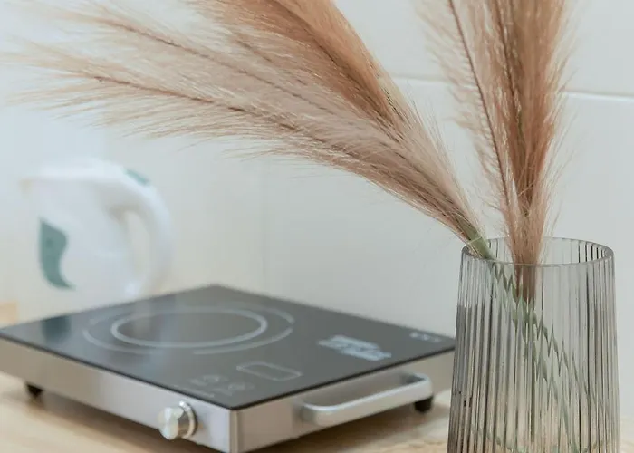 Mini Smart On Shpytalna 13- Economy *